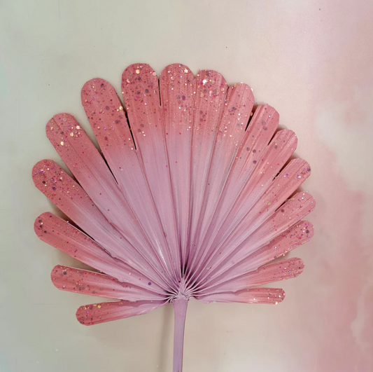 Pink Paradise Shell Spear Palm